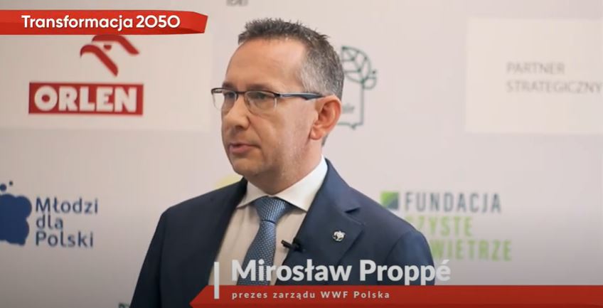 Coraz więcej komponentów PV i technologii magazynowania powstaje w Polsce